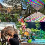 KL Park Festival 2025: 3 Must-Try Experiences!