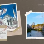 The Soul of Spring: 5+ Sakura Destinations Beyond Mount Fuji