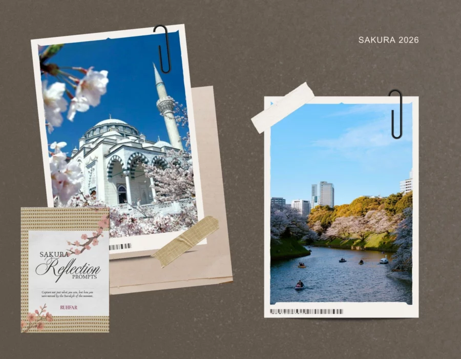 The Soul of Spring: 5+ Sakura Destinations Beyond Mount Fuji